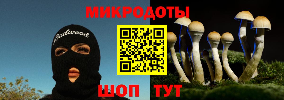 Галлюциногенные грибы Magic Shrooms  Вход с VPN  Петропавловск-Камчатский 
